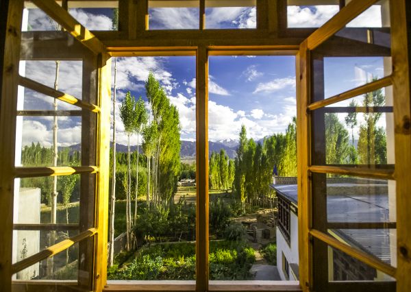 Cost of Wood Window Replacement in Brunswick
