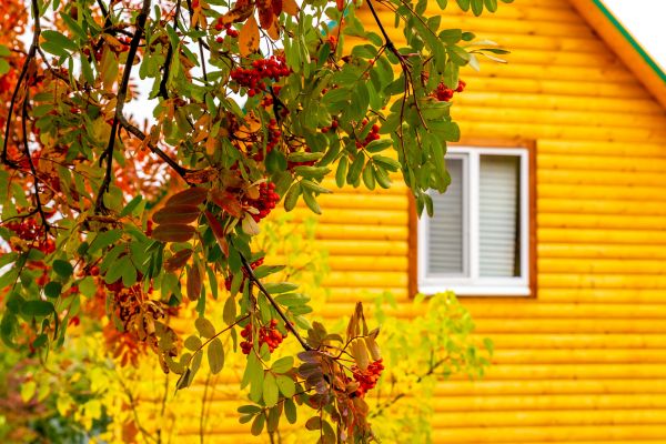 Cost of Garden Window Replacement in Brunswick